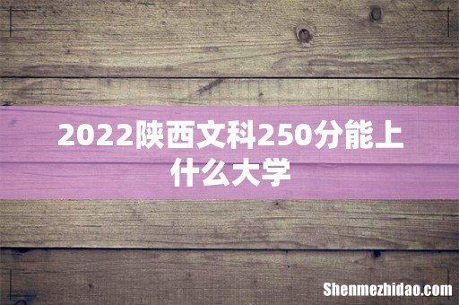 2022陕西文科250分能上什么大学