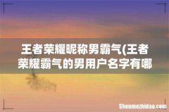 王者荣耀霸气的男用户名字有哪些？ 王者荣耀昵称男霸气