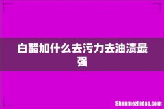 白醋加什么去污力去油渍最强