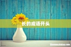 长的成语开头