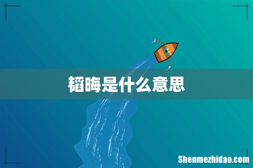 韬晦是什么意思