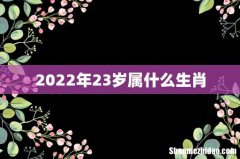 2022年23岁属什么生肖