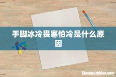 手脚冰冷畏寒怕冷是什么原因