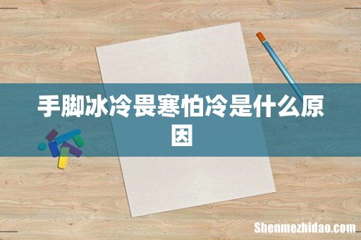 手脚冰冷畏寒怕冷是什么原因