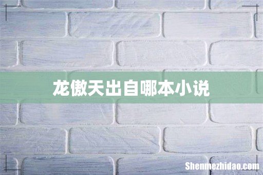 龙傲天出自哪本小说