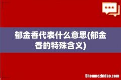 郁金香的特殊含义 郁金香代表什么意思