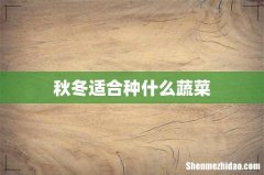 秋冬适合种什么蔬菜