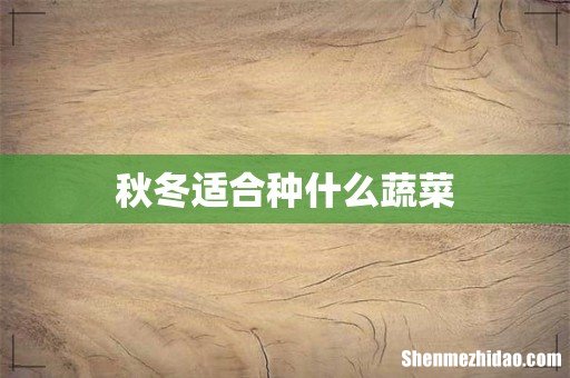 秋冬适合种什么蔬菜