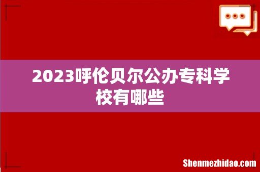 2023呼伦贝尔公办专科学校有哪些