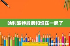哈利波特最后和谁在一起了