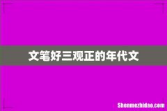 文笔好三观正的年代文