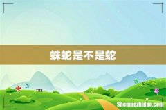 蛛蛇是不是蛇