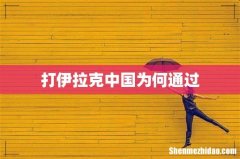 打伊拉克中国为何通过