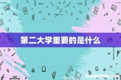第二大学重要的是什么
