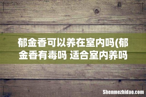 郁金香有毒吗 适合室内养吗 郁金香可以养在室内吗