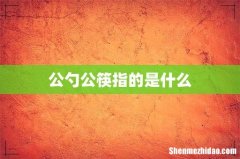 公勺公筷指的是什么