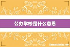 公办学校是什么意思