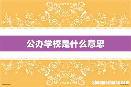 公办学校是什么意思