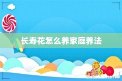 长寿花怎么养家庭养法