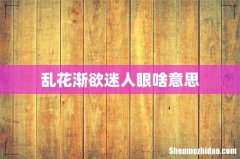 乱花渐欲迷人眼啥意思