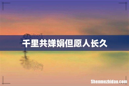 千里共婵娟但愿人长久