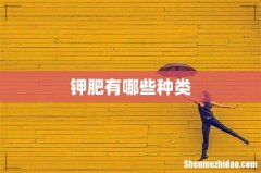 钾肥有哪些种类