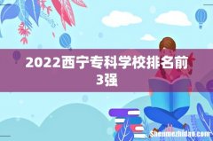 2022西宁专科学校排名前3强