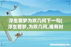 浮生若梦,为欢几何,唯有时宜,为我所求什么意思 浮生若梦为欢几何下一句