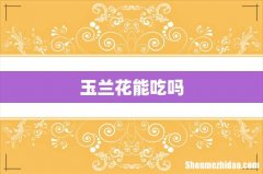 玉兰花能吃吗