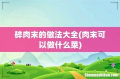 肉末可以做什么菜 碎肉末的做法大全