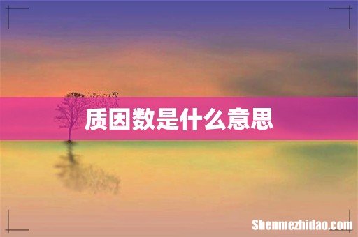 质因数是什么意思