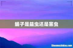 蝎子是益虫还是害虫