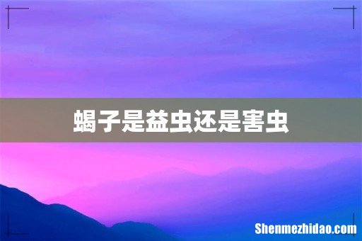 蝎子是益虫还是害虫