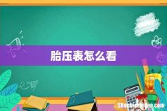 胎压表怎么看