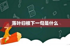 落叶归根下一句是什么
