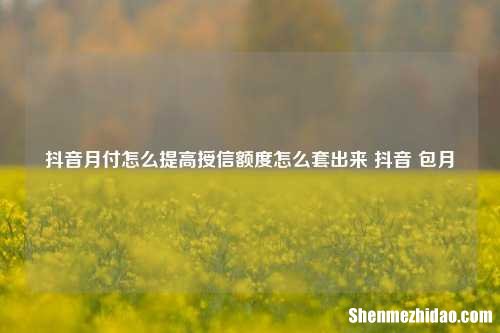 抖音月付怎么提高授信额度怎么套出来 抖音 包月