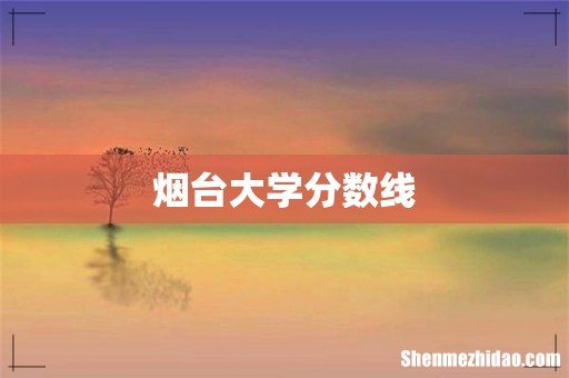 烟台大学分数线