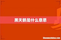 黑天鹅是什么意思