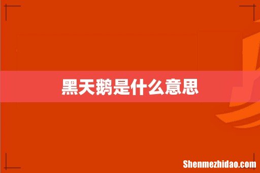 黑天鹅是什么意思