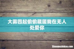 大雾四起偷偷藏匿我在无人处爱你
