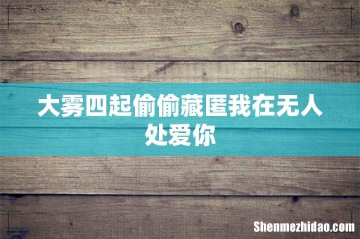 大雾四起偷偷藏匿我在无人处爱你