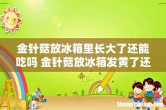 金针菇放冰箱里长大了还能吃吗 金针菇放冰箱发黄了还能吃吗
