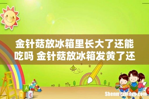 金针菇放冰箱里长大了还能吃吗 金针菇放冰箱发黄了还能吃吗