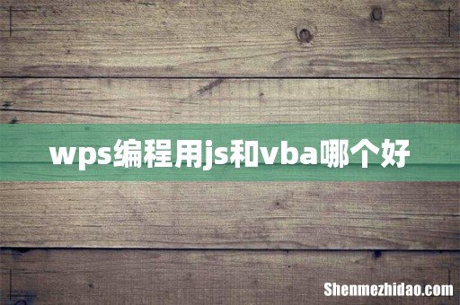 wps编程用js和vba哪个好
