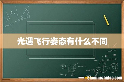 光遇飞行姿态有什么不同