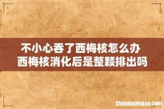 不小心吞了西梅核怎么办 西梅核消化后是整颗排出吗