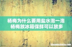 杨梅为什么要用盐水泡一泡 杨梅放冰箱保鲜可以放多久