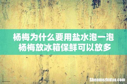 杨梅为什么要用盐水泡一泡 杨梅放冰箱保鲜可以放多久