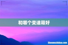 和哪个变速箱好