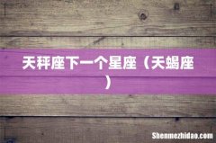 天秤座下一个星座（天蝎座)
